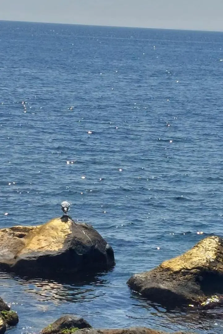 Karma By Picioll'S Διαμέρισμα Aci Castello 0*,